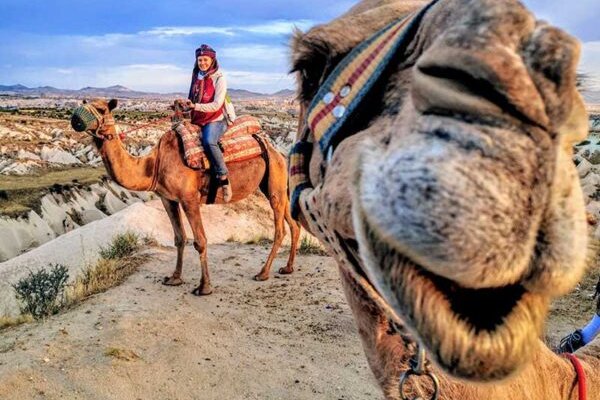 Camel Ride and Safari Tour